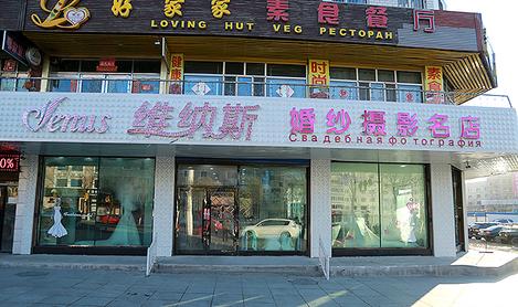 維納斯婚紗攝影店的圖標