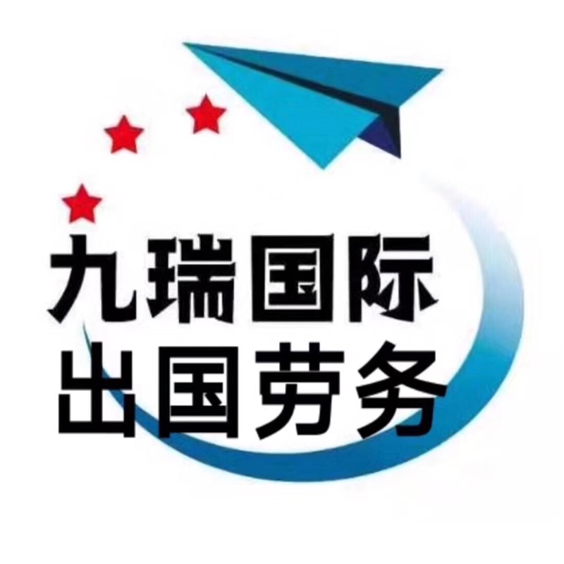 黑龍江九瑞國際信息咨詢服務有限公司的圖標