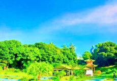 藍洋生態(tài)園的圖標