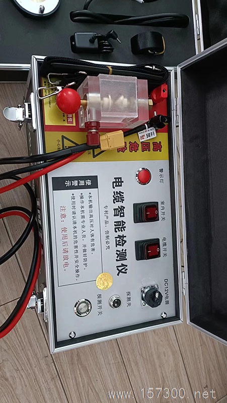 專業(yè)儀器檢測:電路、水路故障
