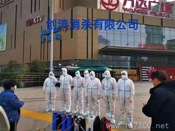 專業(yè)除蟲滅蟑滅鼠