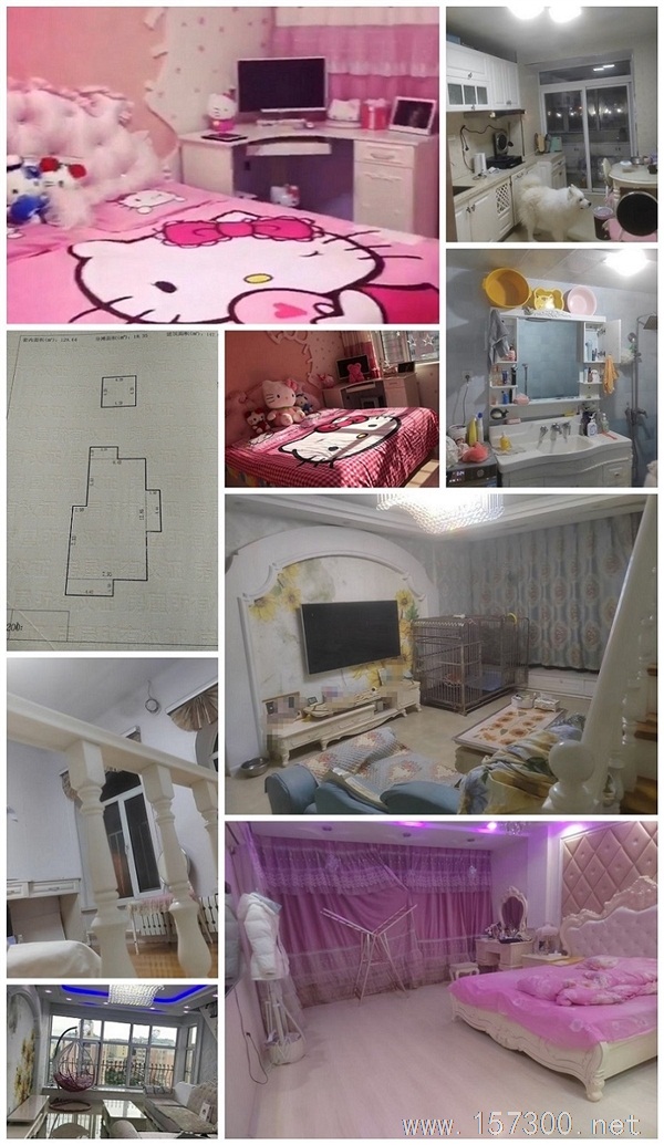 西城區(qū)B區(qū)暖陽(yáng)房低價(jià)