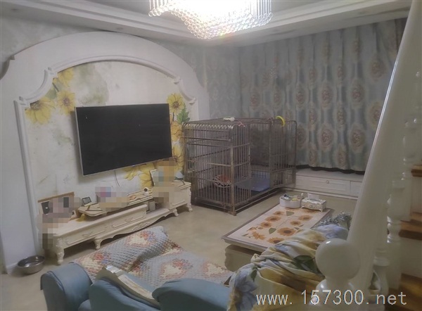 西城區(qū)B區(qū)暖陽(yáng)房低價(jià)