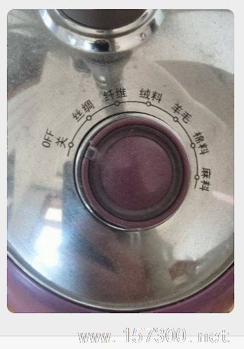 9成新掛燙機