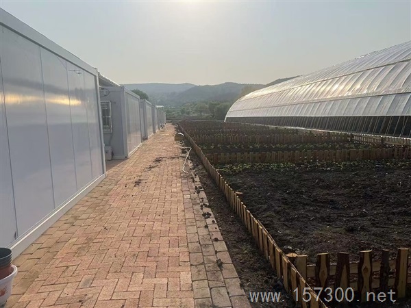 出租能采摘的民宿小屋