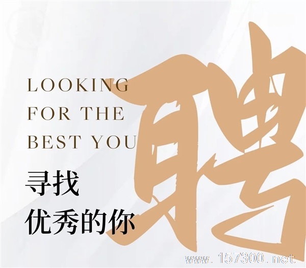 財(cái)務(wù)綜合崗