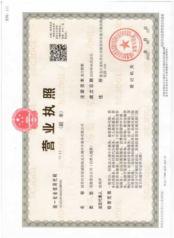 綏芬河市佳誠因私出入境中介服務(wù)公司的圖標(biāo)